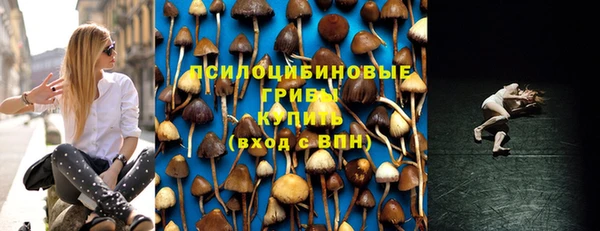 spice Михайловск