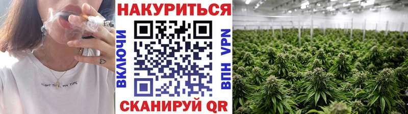 даркнет сайт  Чекалин  Бошки марихуана план 
